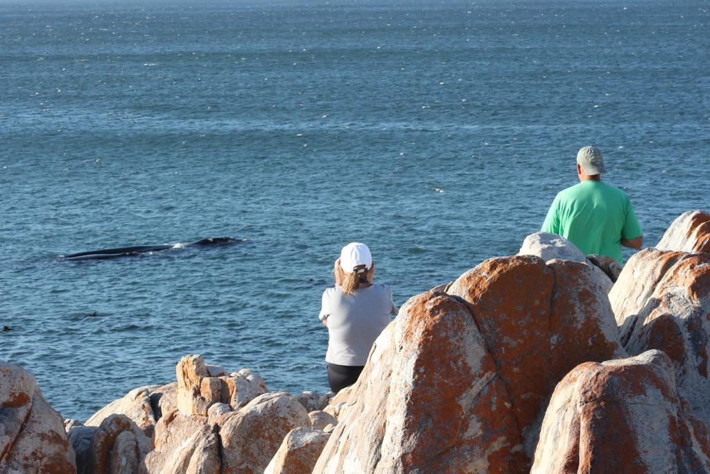Whaletale De Kelders Exterior foto