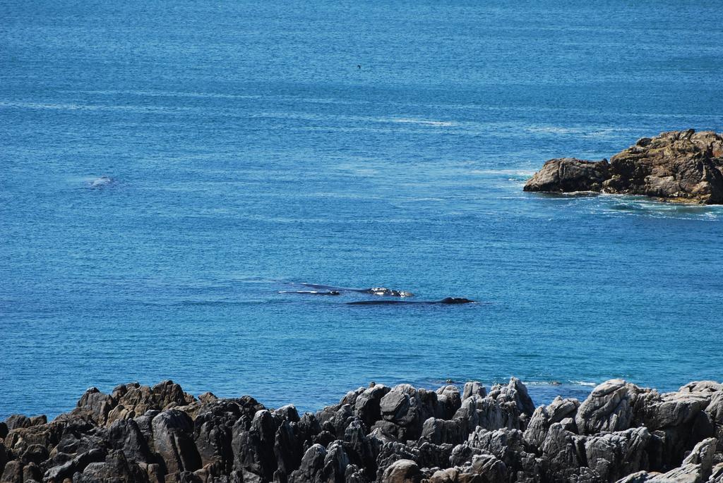 Whaletale De Kelders Exterior foto