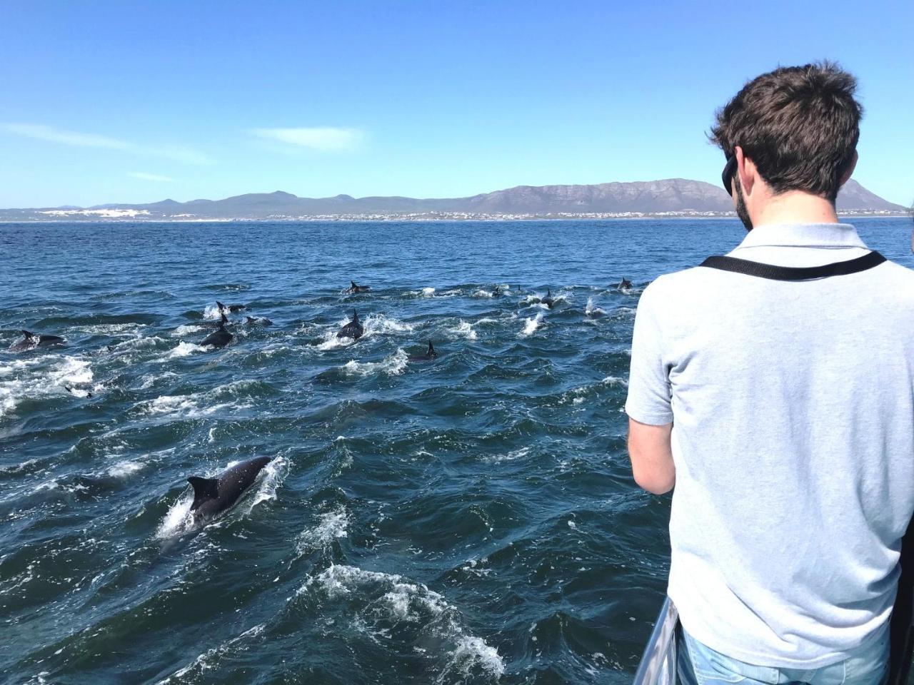 Whaletale De Kelders Exterior foto
